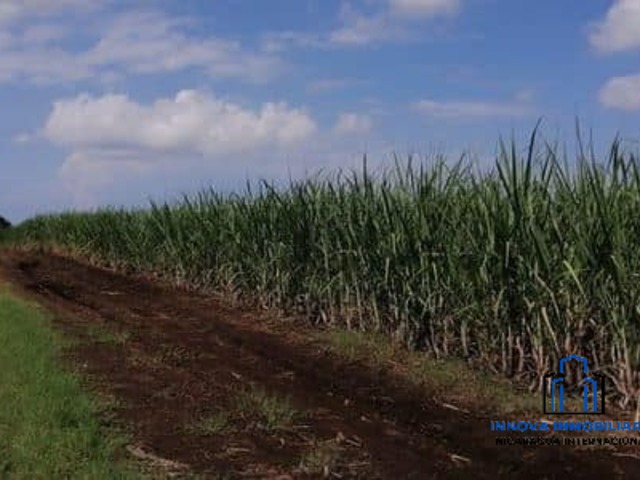 #3 - Finca Agrícola para Venta en Chinandega - Chinandega - 2