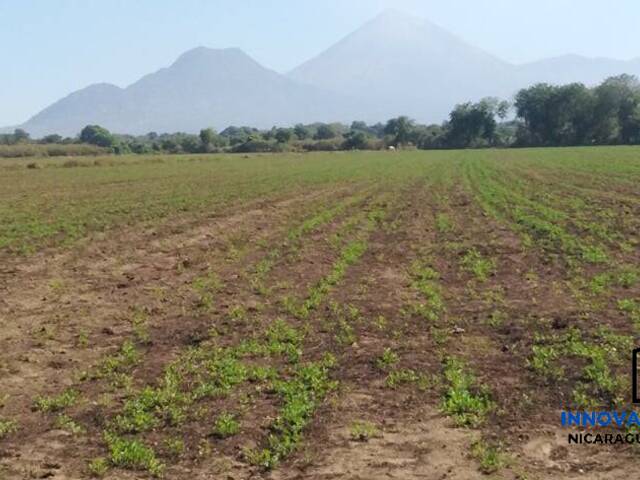 #6 - Terreno para construcción para Venta en Chinandega - Chinandega