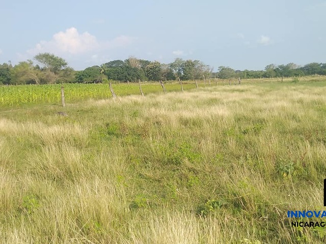 #23 - Finca Agrícola y Ganadera para Venta en Chinandega - Chinandega