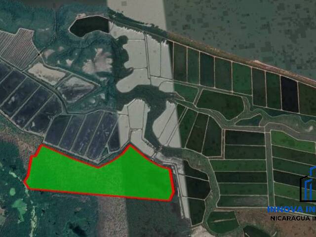 #26 - Finca Agrícola y Ganadera para Venta en Chinandega - Chinandega