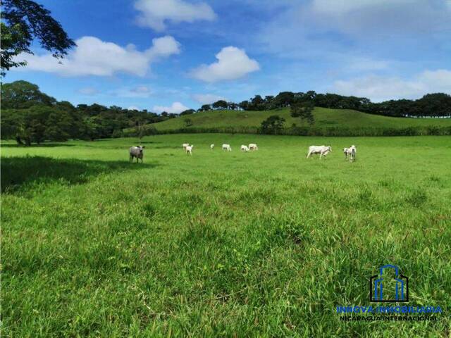 #46 - Finca Agrícola y Ganadera para Venta en León - León - 2